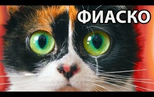 Это ненавидят все!!! С юмором о бытовых проблемах