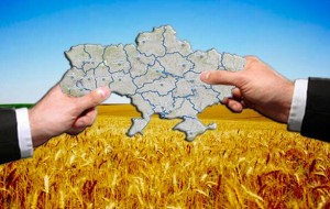 В Києві зберуться аграрії, щоб обговорити майбутнє відкриття ринку землі