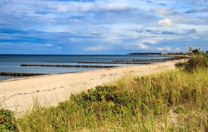 Небезпечна бактерія Vibrio vulnificus все частіше зустрічається в Балтії. Винні зміни клімату